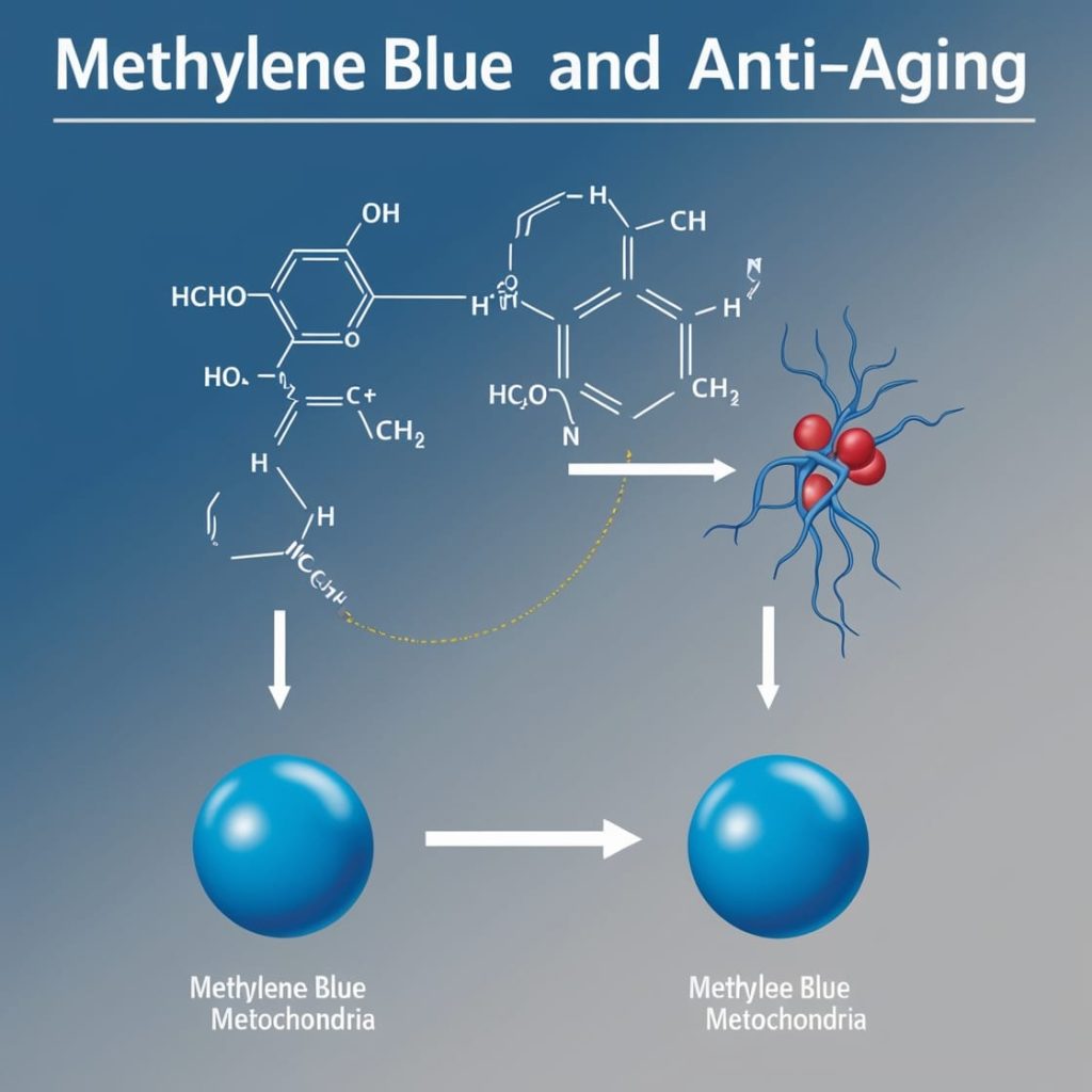 Methylene Blue and Anti-Aging