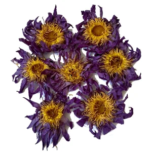 Organic Dried Whole Blue Lotus Flowers – 100 g